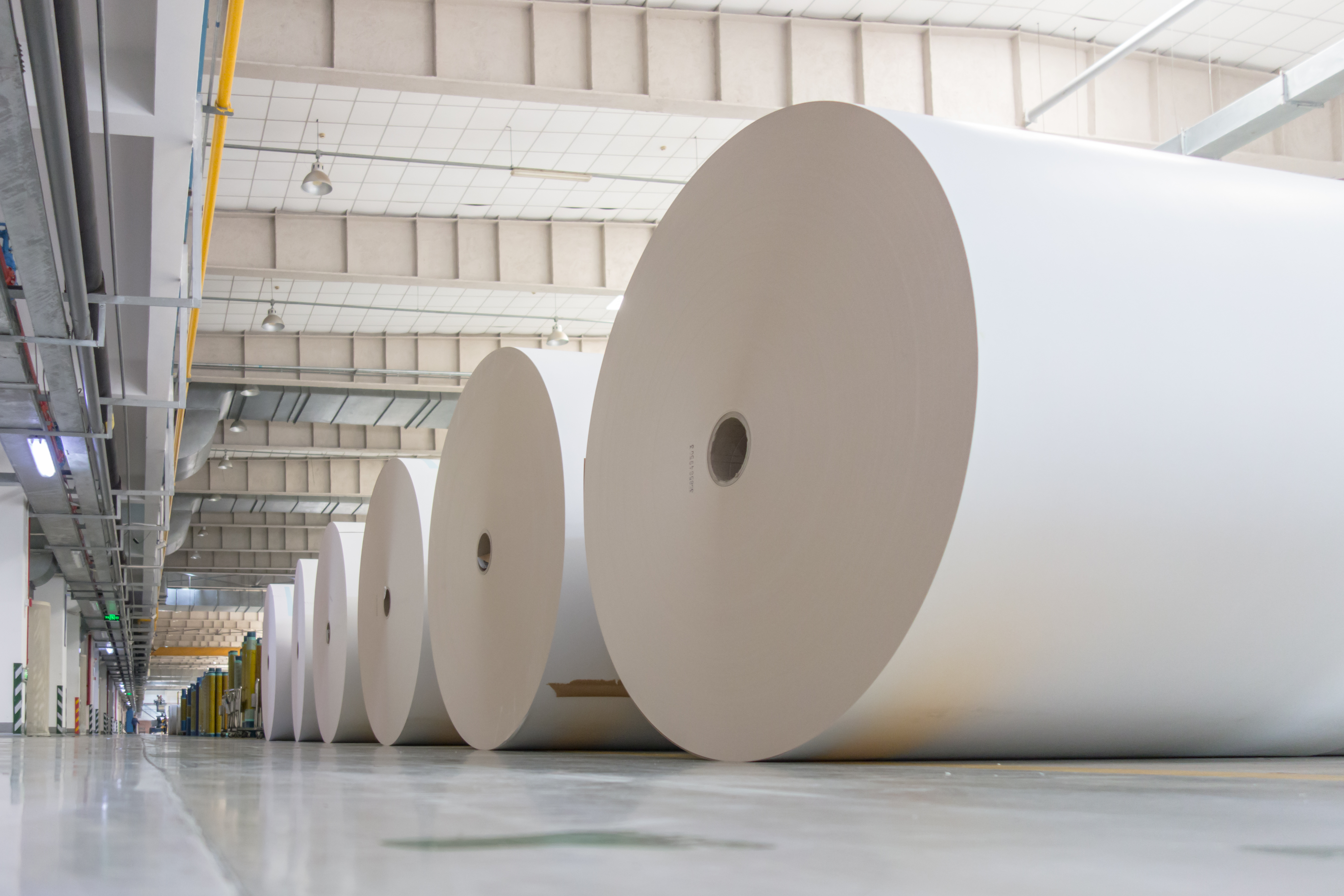 PAPEL E CELULOSE